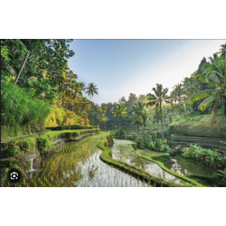 séjour Bali