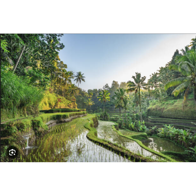 séjour Bali séjour Bali